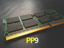 Bônus Generosos e Exclusivos no PP9 para Você!