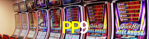 PP9